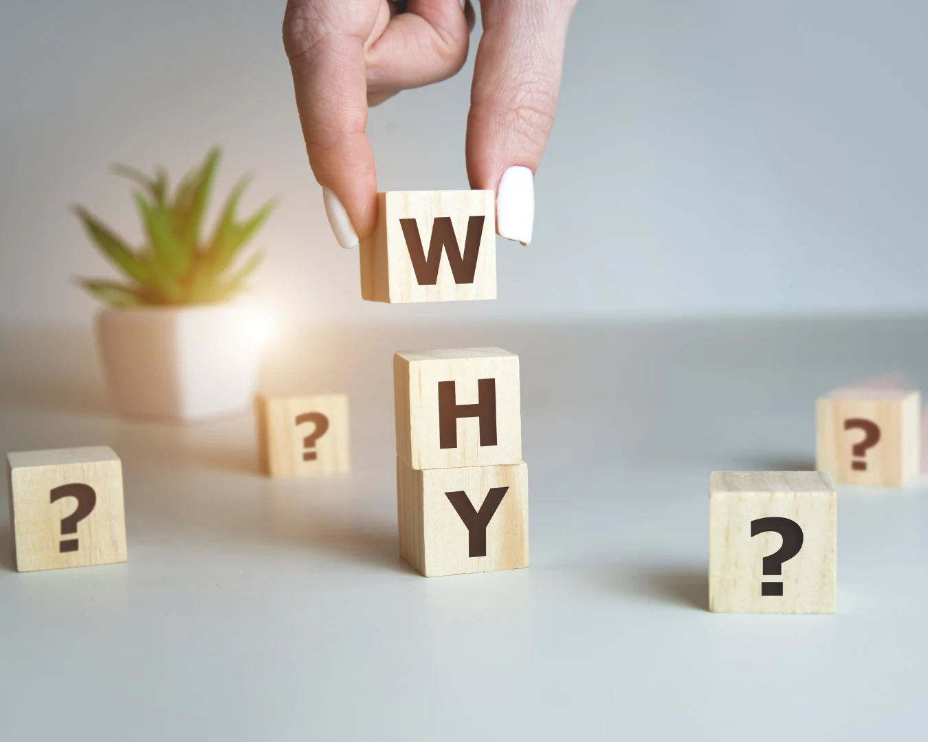 why-choose us